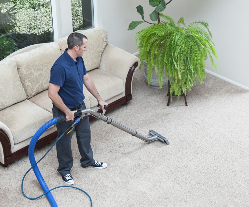 Carpet Cleaning Services